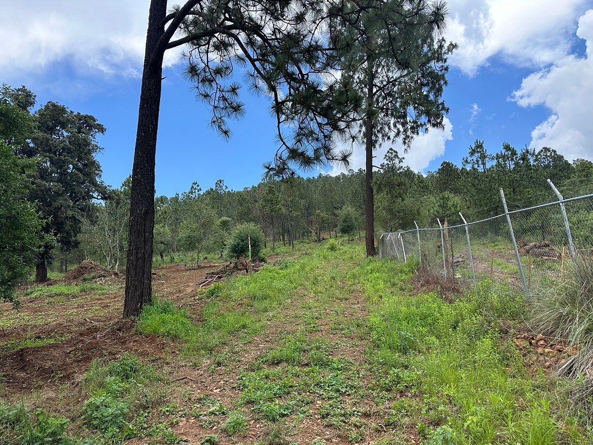 Lote em Ferreria de Tula, Tapalpa, foto 4 de 10