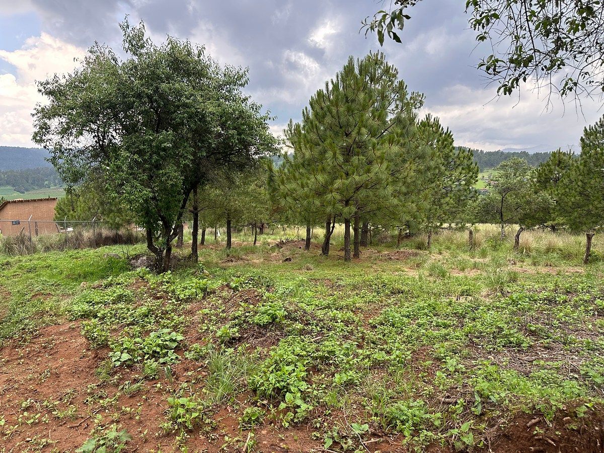Lote em Ferreria de Tula, Tapalpa, foto 3 de 10