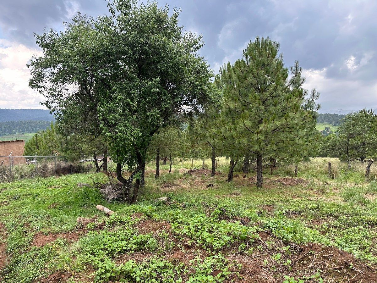 Lote em Ferreria de Tula, Tapalpa, foto 6 de 10
