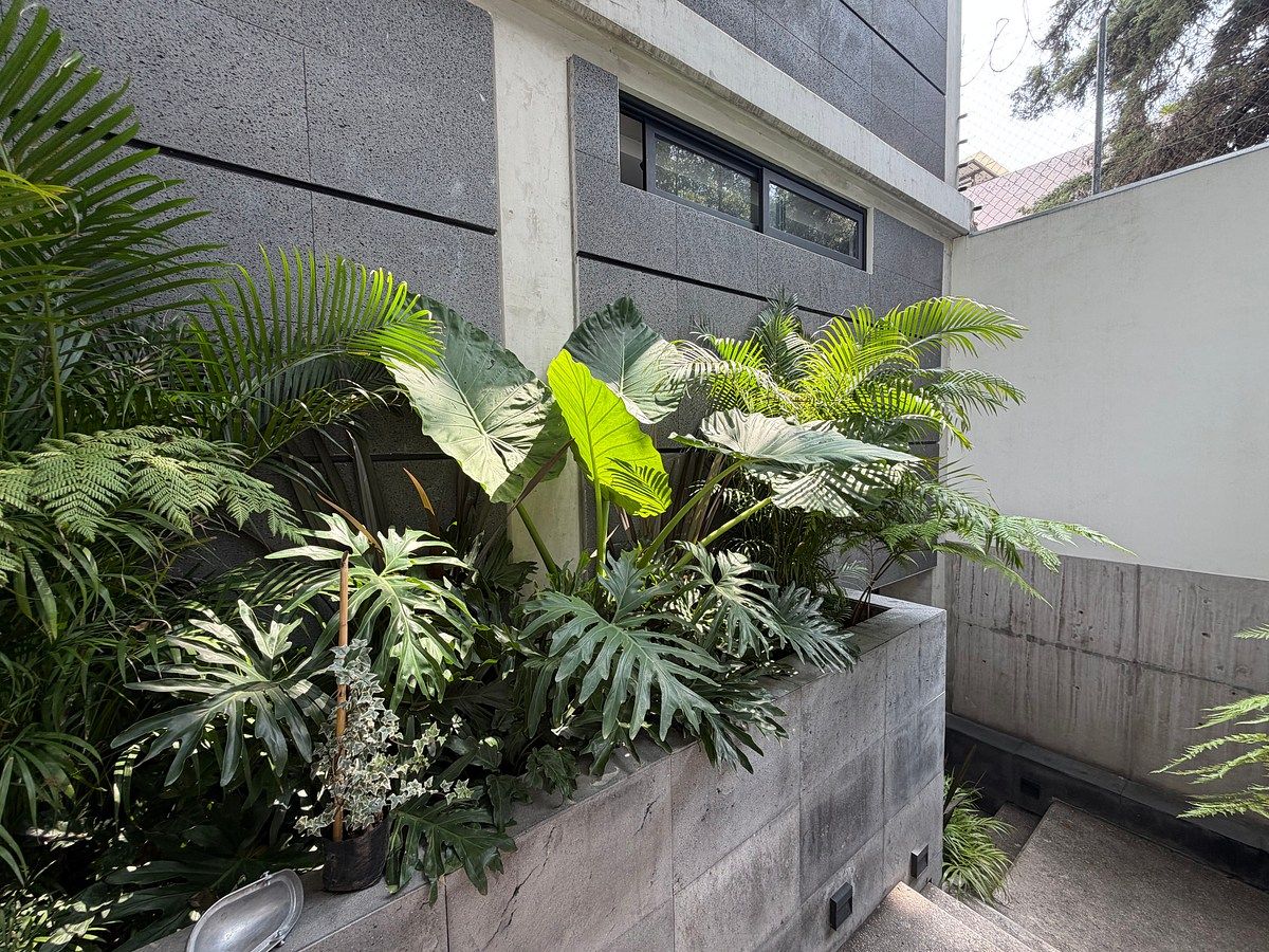 Apartment in Chimalistac, Álvaro Obregón, photo 20 of 23