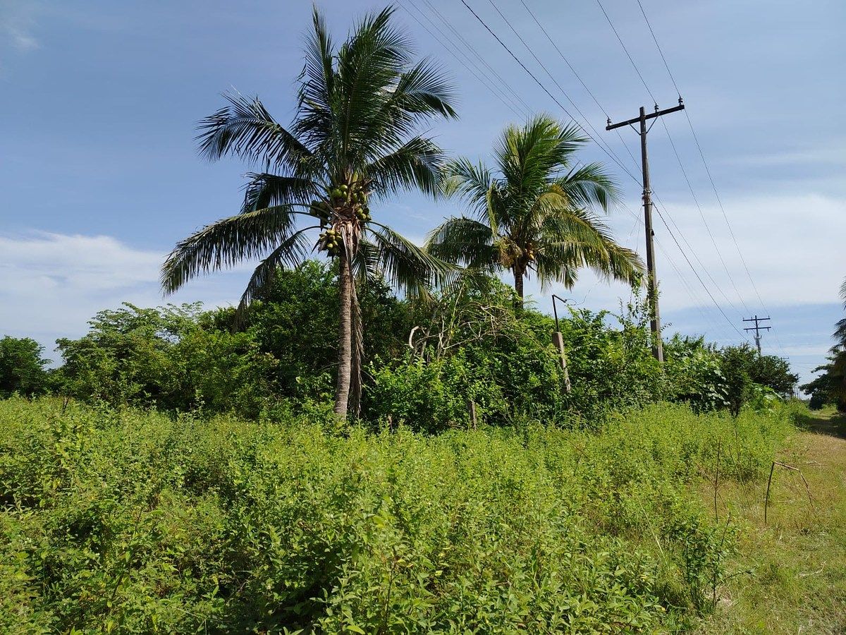 Terreno de 1005 m2 en venta en El Campestre Herón Proal. MEDELLÍN, VERACRUZ