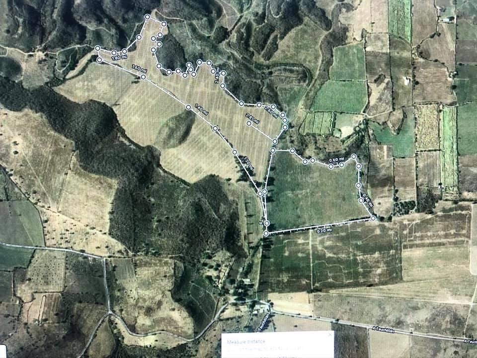 Se renta terrreno para siembra en Tala, foto 1 de 3