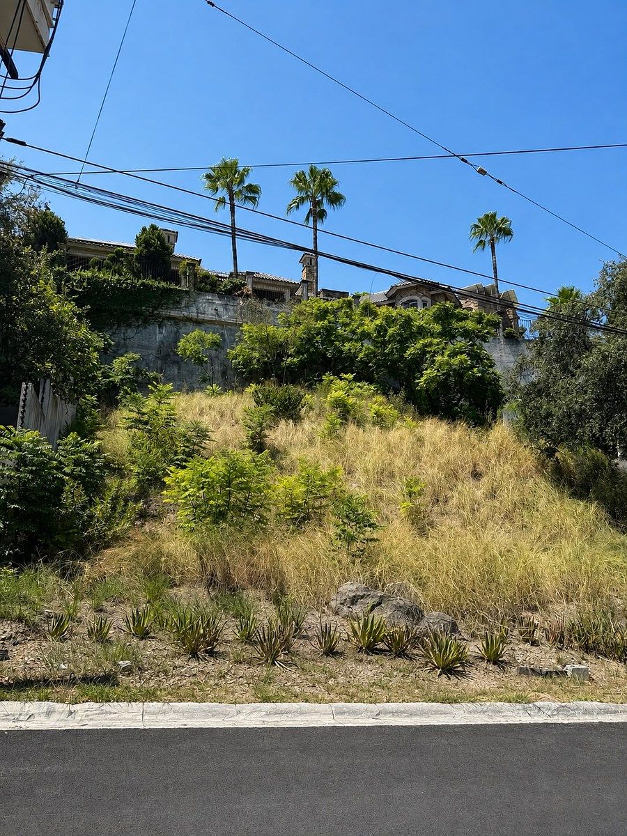 Terreno en Zona Bosques de la Sierra, San Pedro Garza García, foto 4 de 4