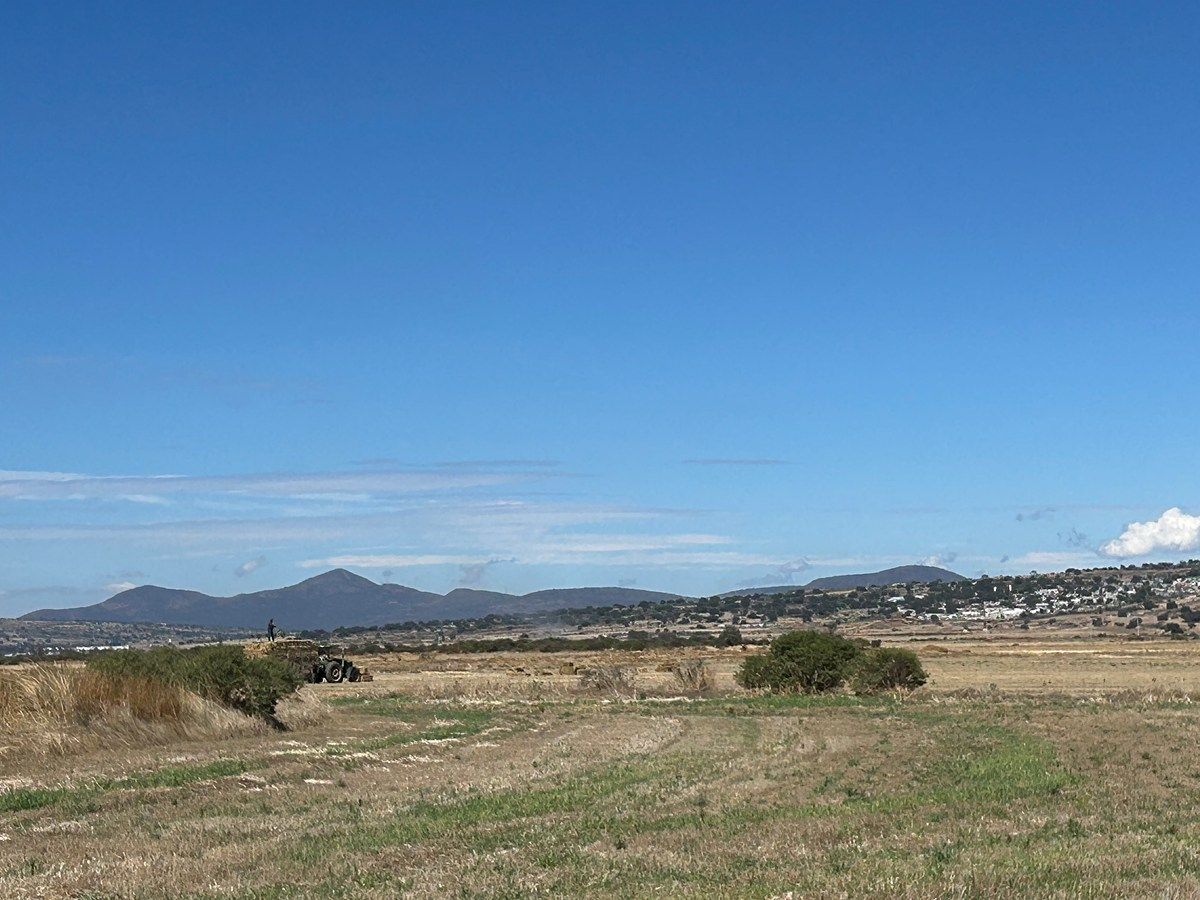 Terreno en Acopinalco, Apan, foto 10 de 11