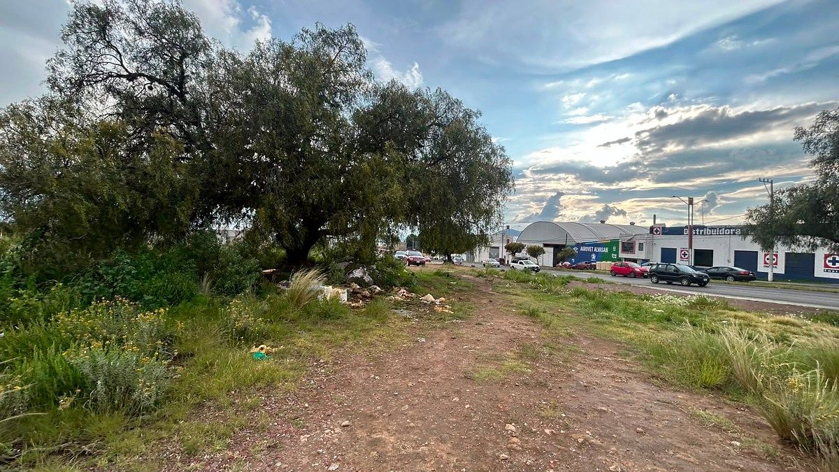 Terreno en Ciudad Fray Bernardino de Sahagún Centro, Tepeapulco, foto 7 de 10