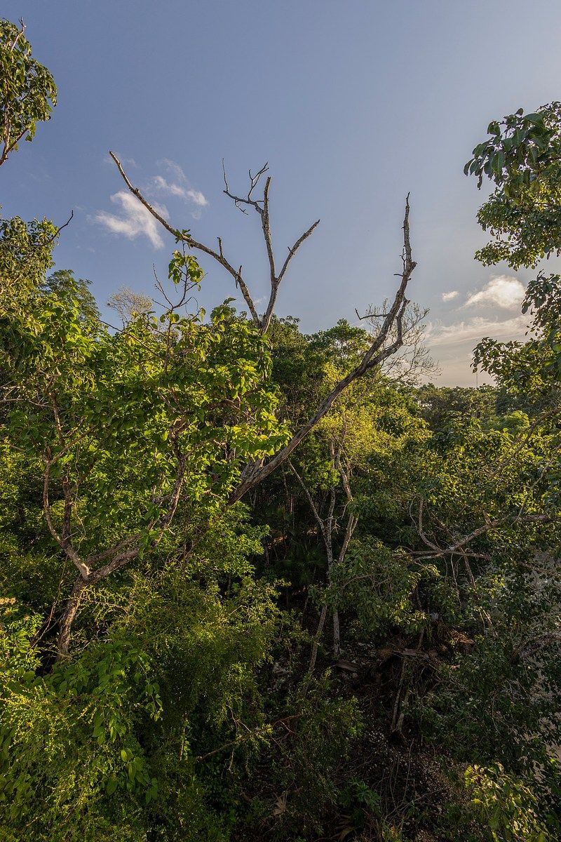House in La Veleta, Tulum, photo 24 of 33