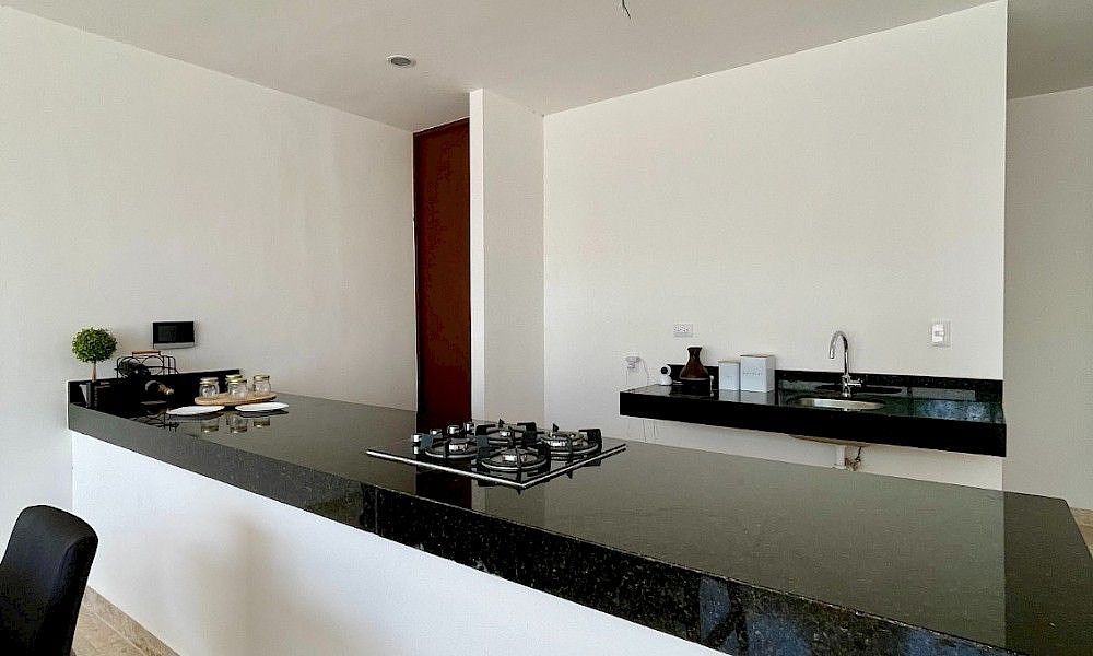 House in Santa Rita Cholul, Mérida, photo 13 of 17