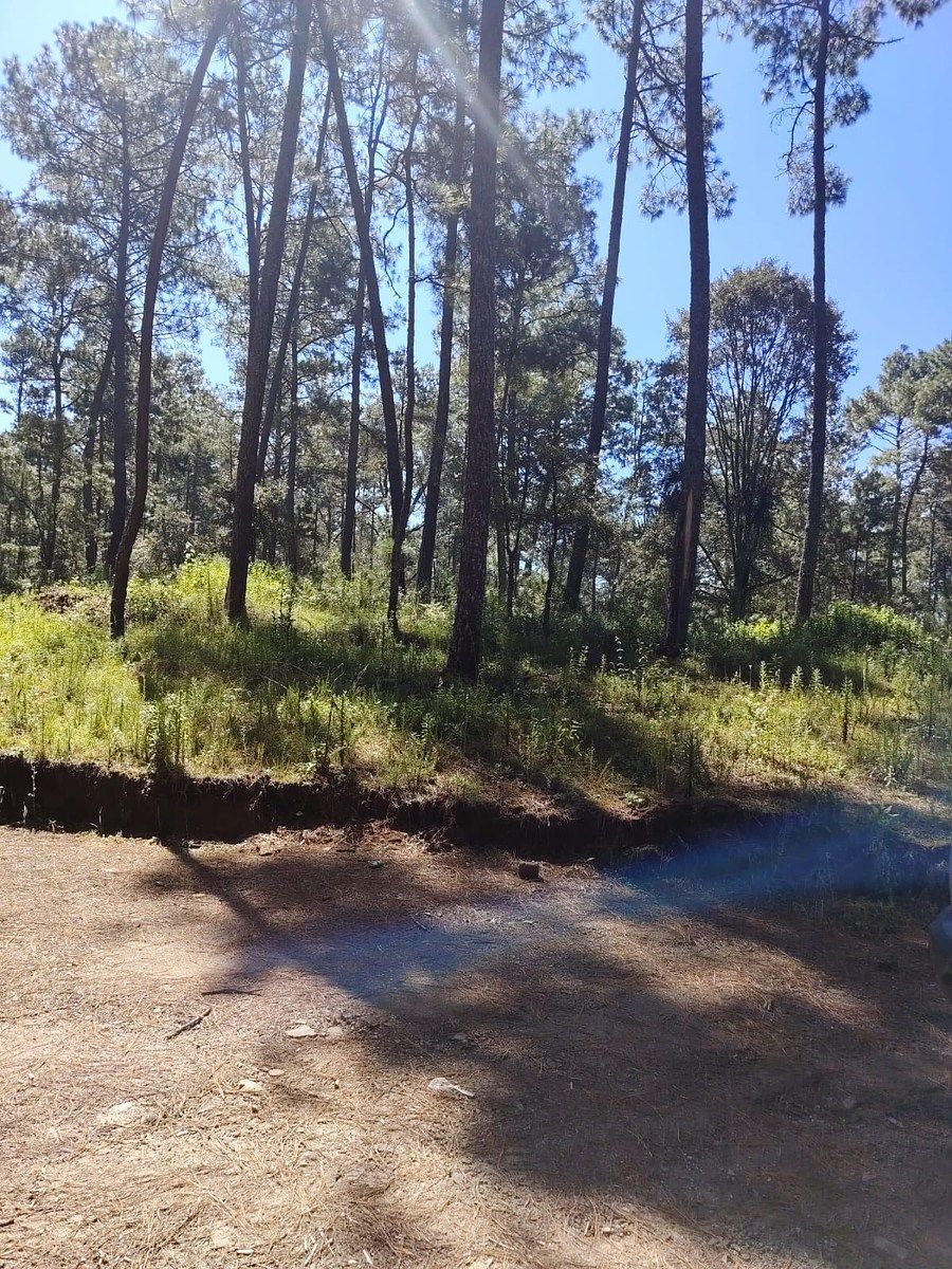 Terreno en Atemajac de Brizuela, Atemajac de Brizuela, foto 2 de 7