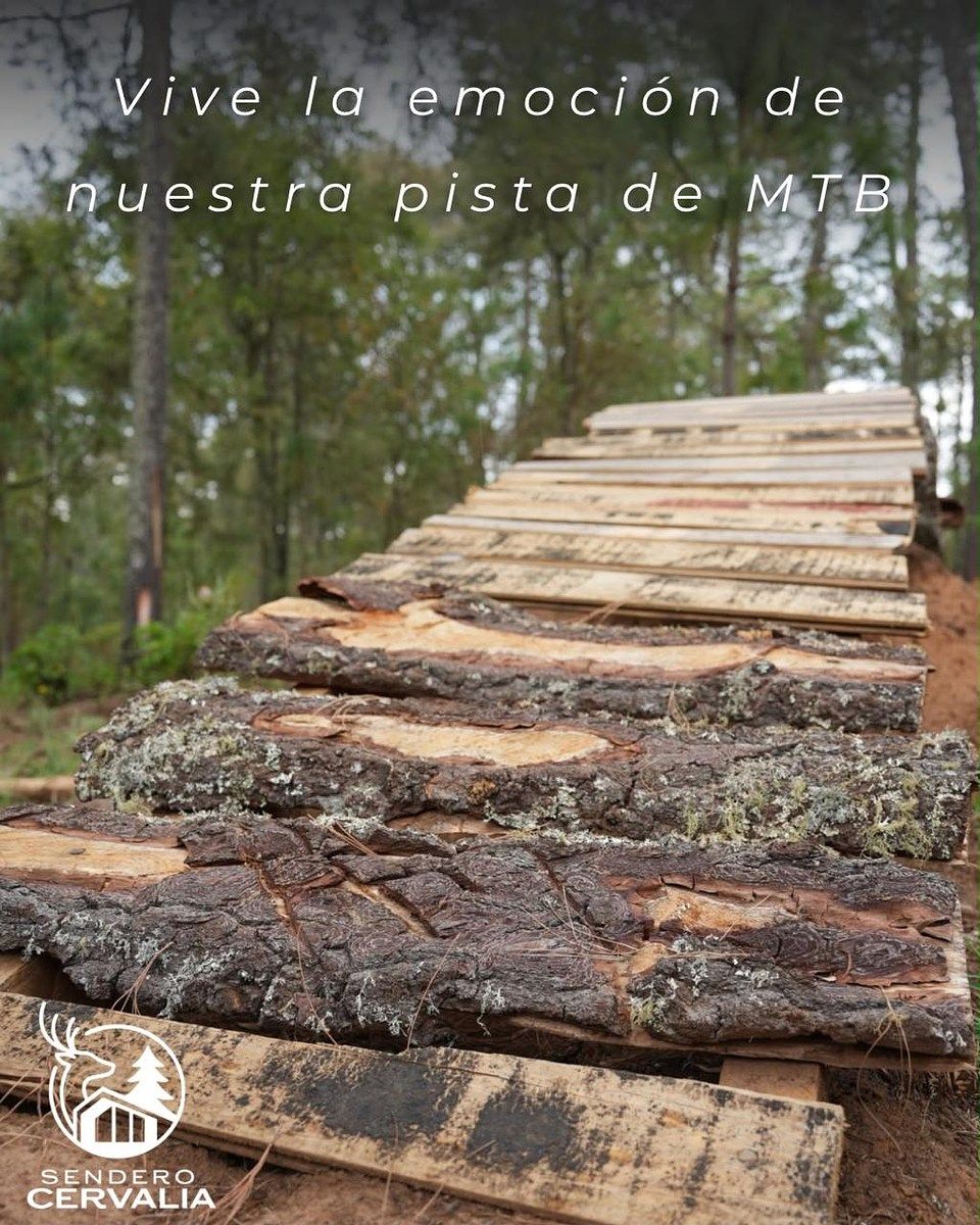 Terreno en Atemajac de Brizuela, Atemajac de Brizuela, foto 4 de 7