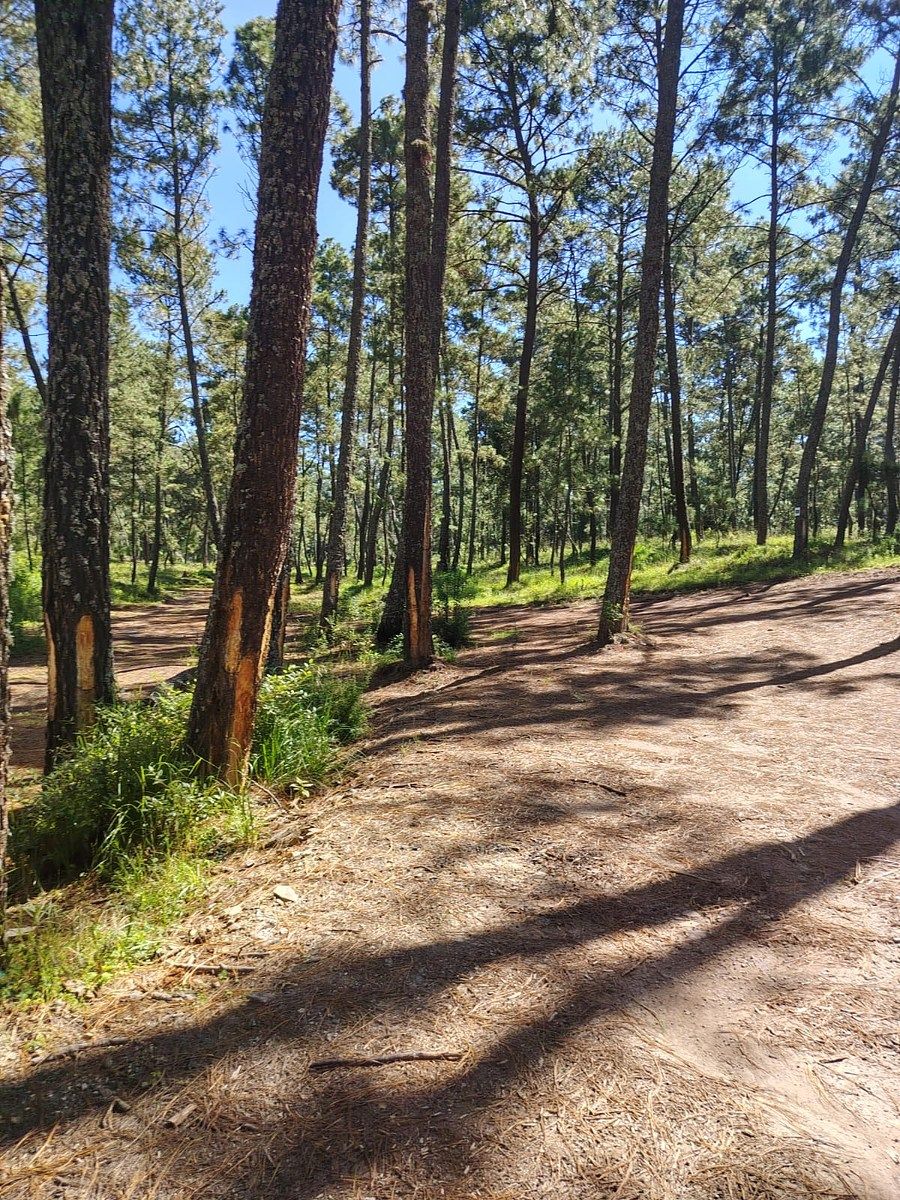 Terreno en Atemajac de Brizuela, Atemajac de Brizuela, foto 6 de 7