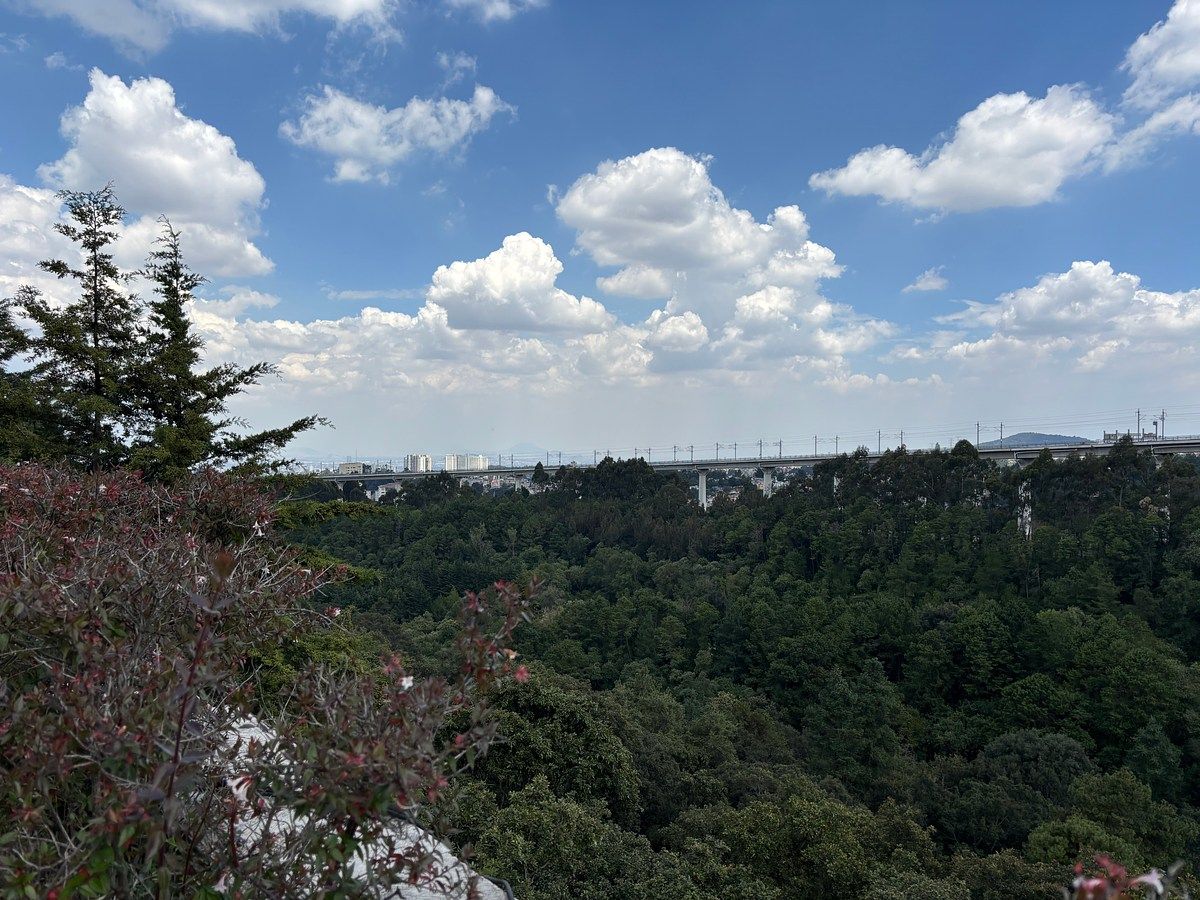 Casa en condominio en Contadero, Cuajimalpa de Morelos, foto 12 de 12