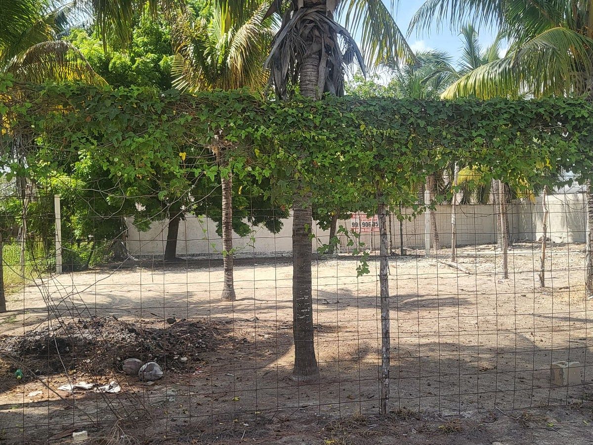Lote em Chuburna Puerto, Progreso, foto 2 de 7