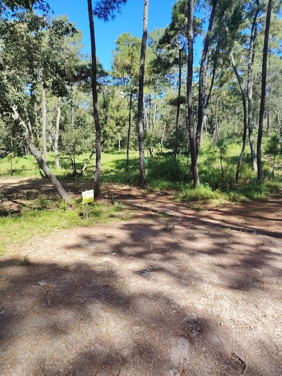 Lot in Atemajac de Brizuela, Atemajac de Brizuela, photo 3 of 6