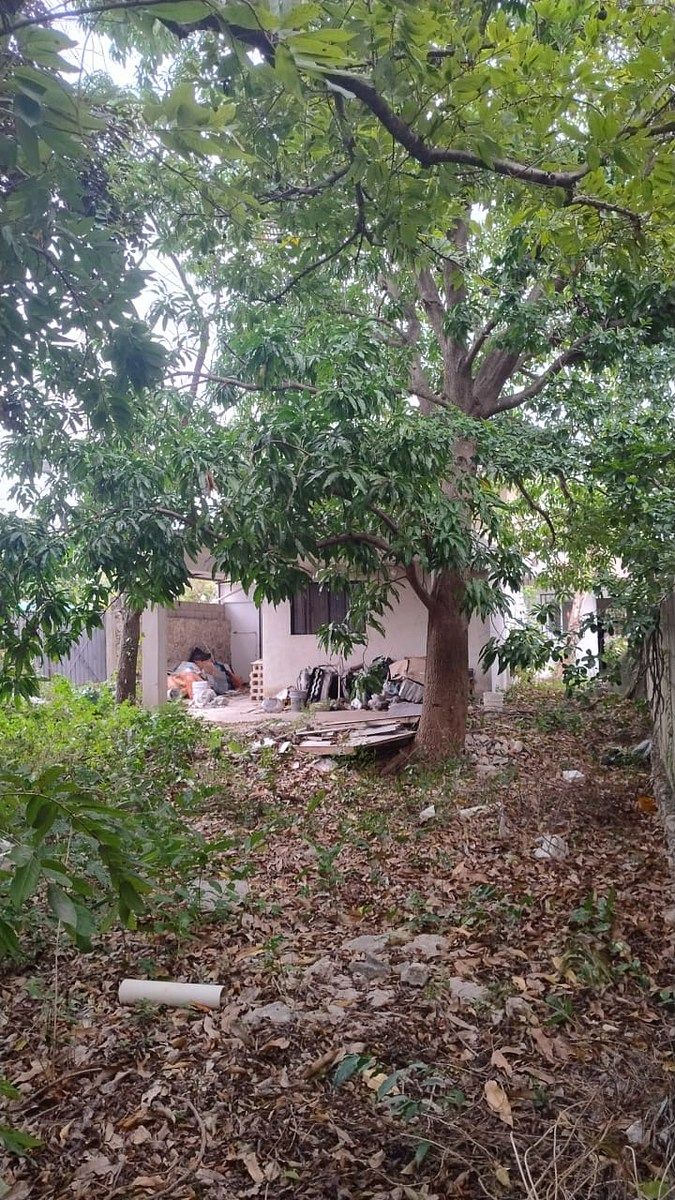 Casa em Amalia Solorzano, Mérida, foto 34 de 34