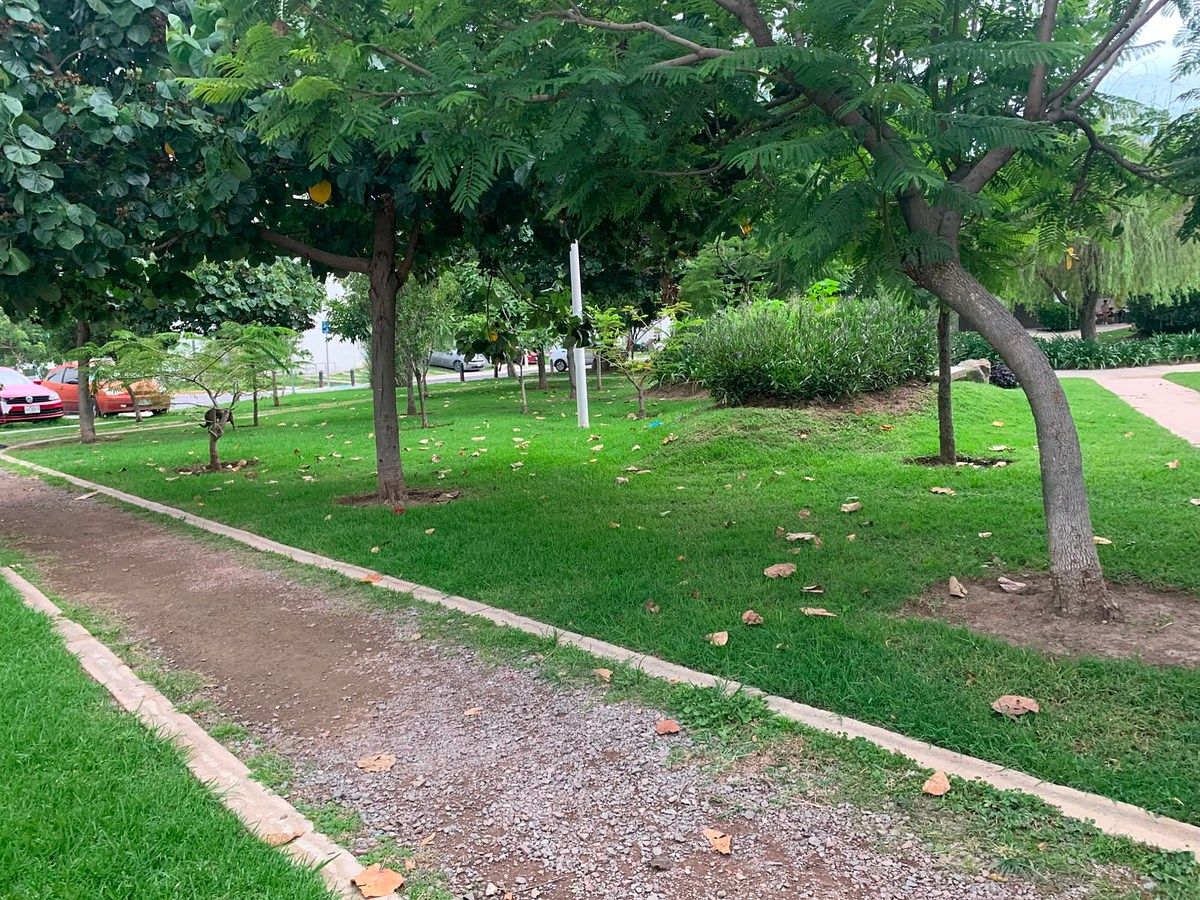 Departamento en San Francisco Tesistán, Zapopan, foto 13 de 14