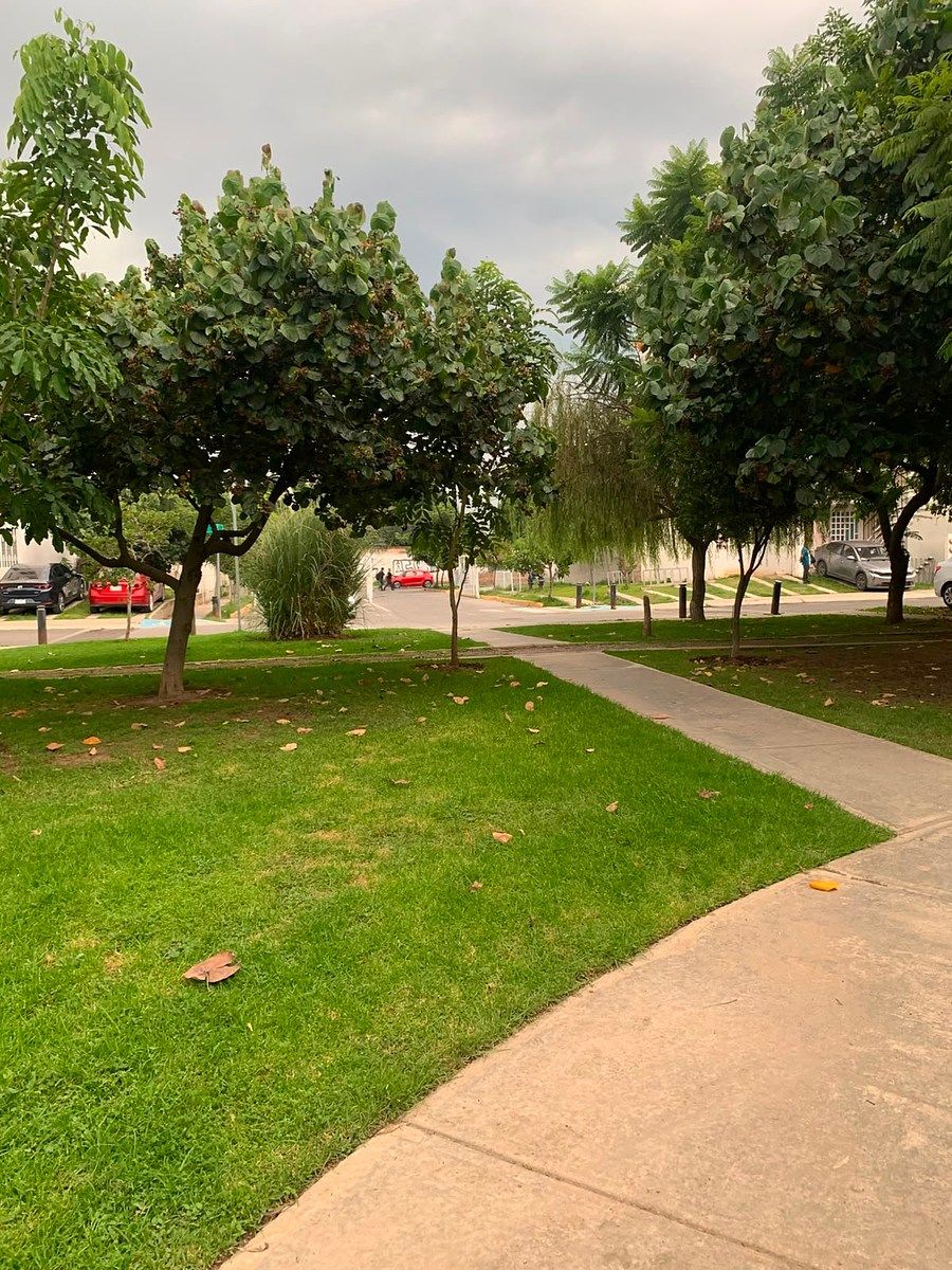 Departamento en San Francisco Tesistán, Zapopan, foto 14 de 14