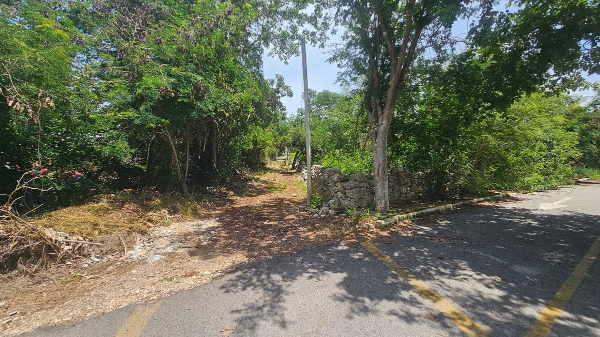 TERRENO EN VENTA EN CHICHÍ SUÁREZ, foto 1 de 17