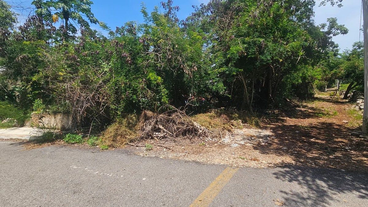 Terreno en Chichi Suárez, Mérida, foto 4 de 17