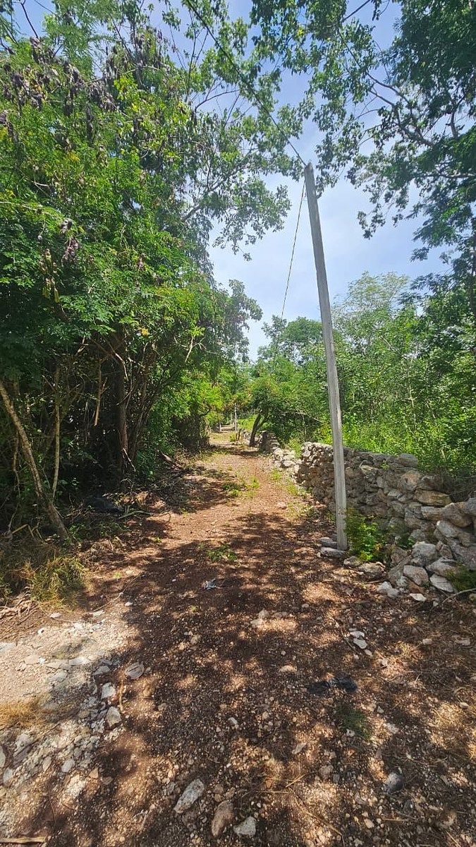 Terreno en Chichi Suárez, Mérida, foto 6 de 17