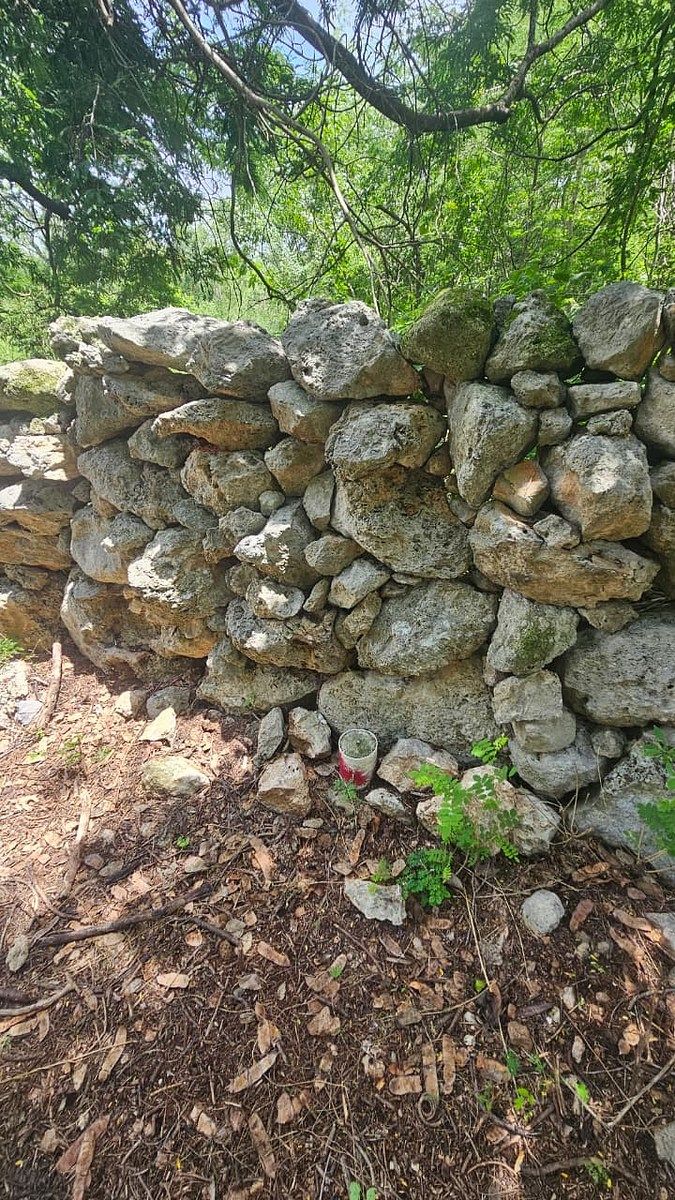 Terreno en Chichi Suárez, Mérida, foto 8 de 17