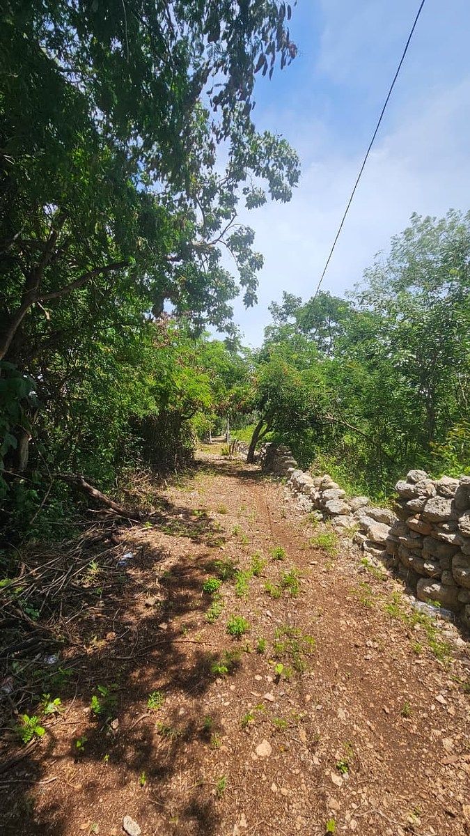 Terreno en Chichi Suárez, Mérida, foto 7 de 17