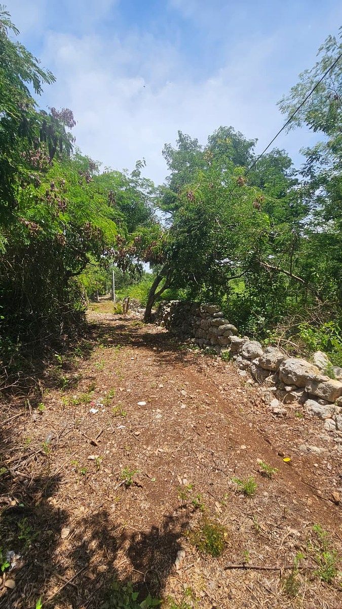 Terreno en Chichi Suárez, Mérida, foto 9 de 17