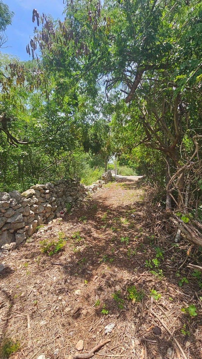 Terreno en Chichi Suárez, Mérida, foto 10 de 17