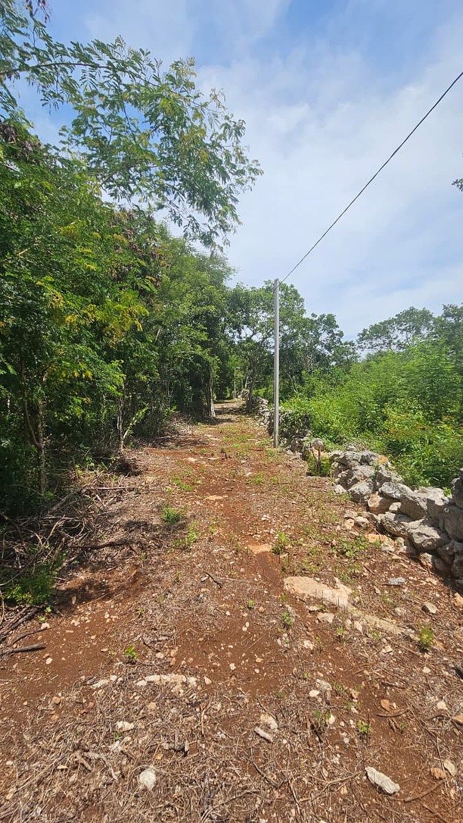 Terreno en Chichi Suárez, Mérida, foto 11 de 17