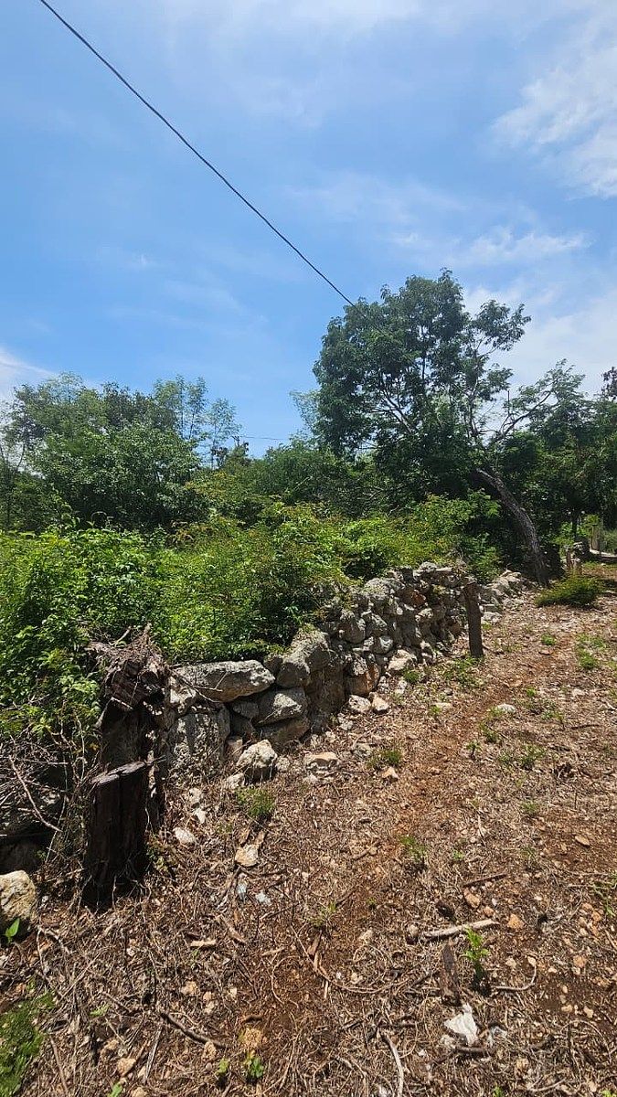 Terreno en Chichi Suárez, Mérida, foto 12 de 17