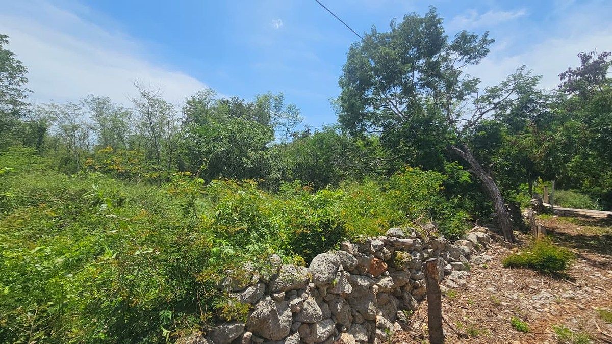 Terreno en Chichi Suárez, Mérida, foto 13 de 17
