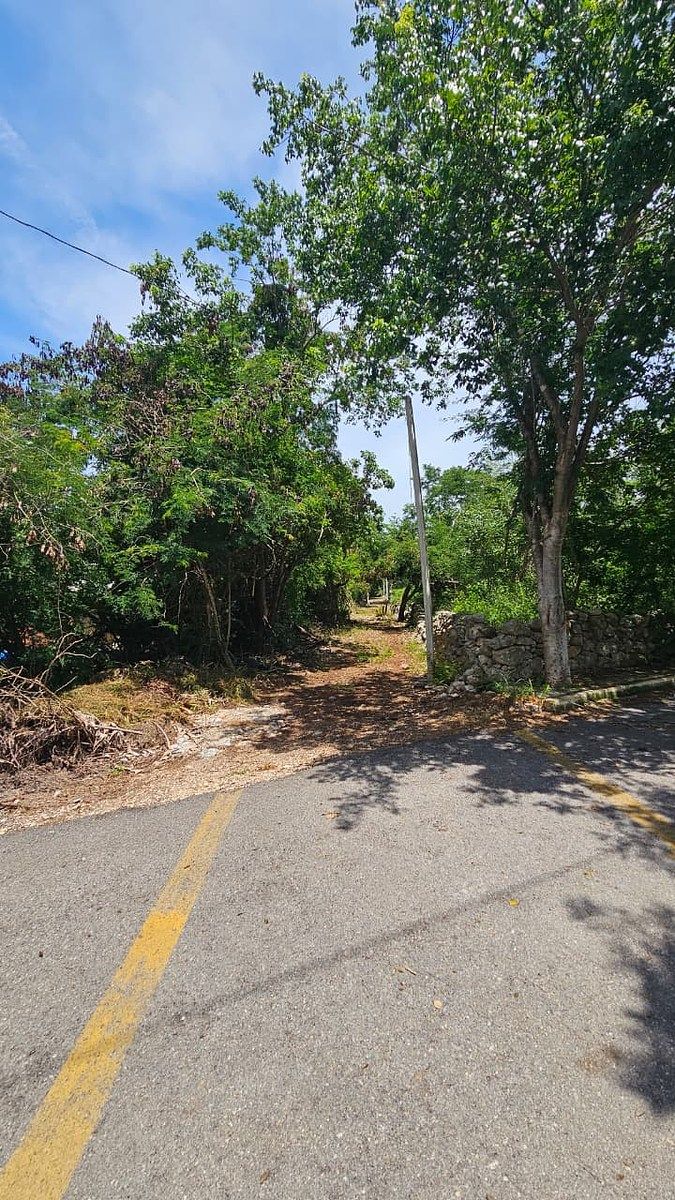 Terreno en Chichi Suárez, Mérida, foto 16 de 17