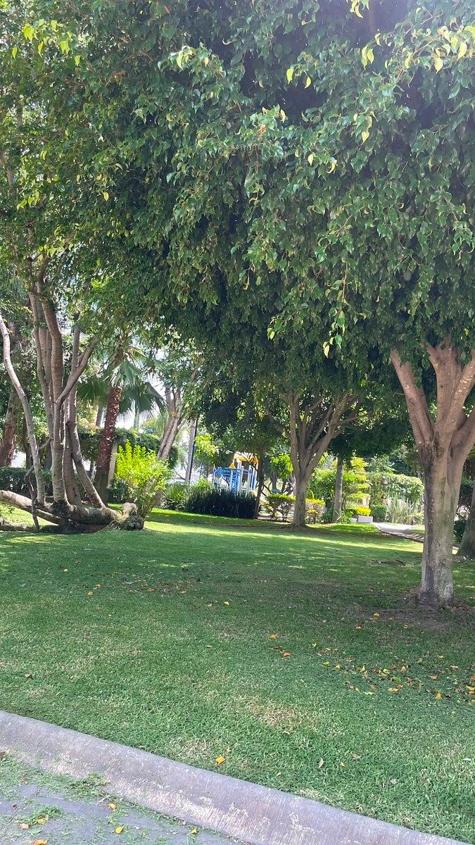 Casa en condominio en Jardín Real, Zapopan, foto 3 de 32