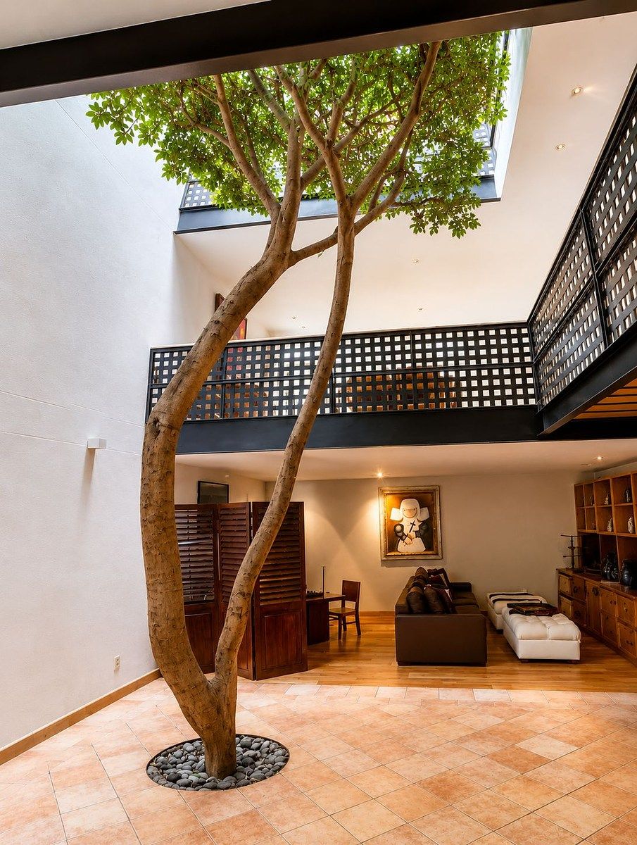 House in Olivar de los Padres, Álvaro Obregón, photo 3 of 23