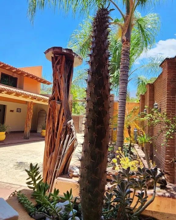 Casa en Autlán de Navarro Centro, Autlán de Navarro, foto 9 de 17
