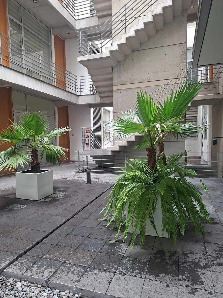Apartment in Tlacoquemecatl, Benito Juárez, photo 6 of 22