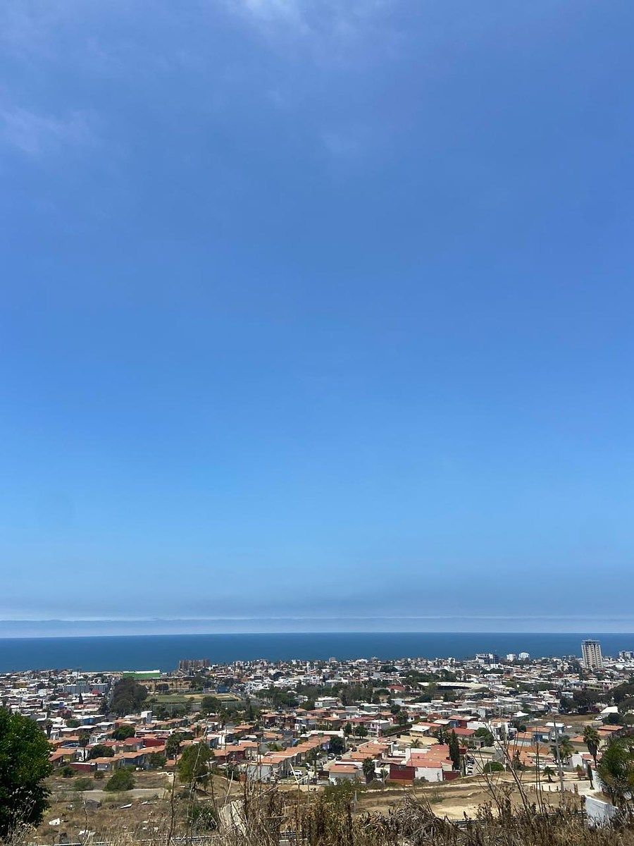 Image 15