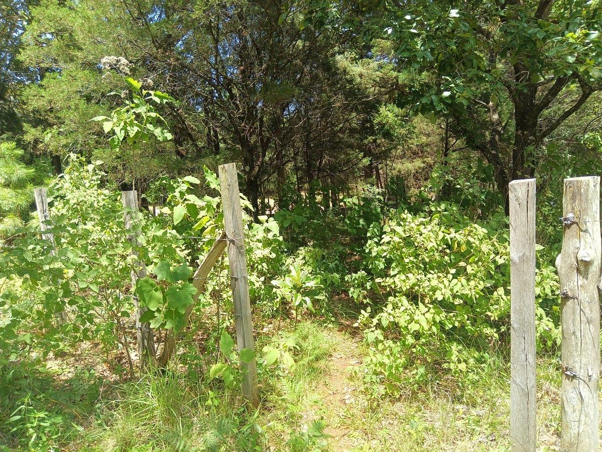 Lote em Teopisca, Teopisca, foto 3 de 9