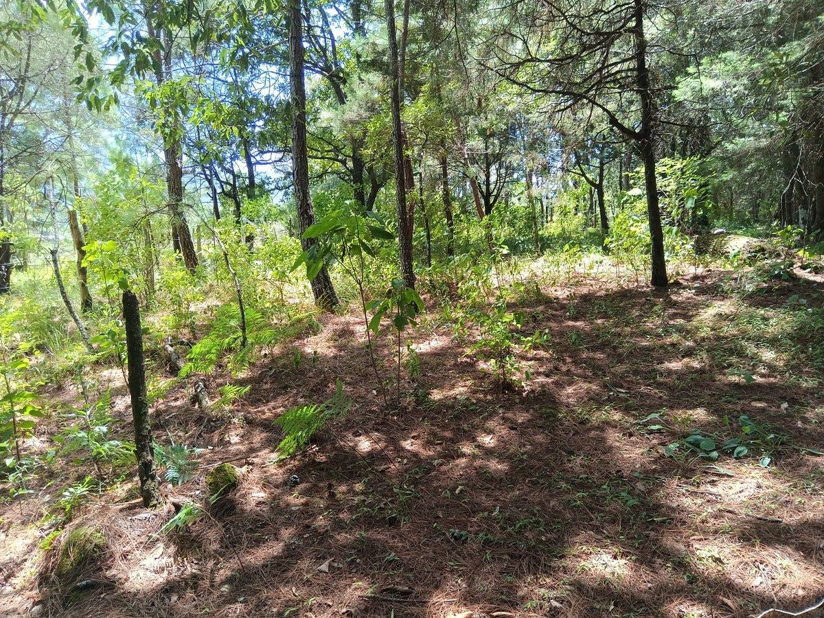 Lote em Teopisca, Teopisca, foto 9 de 9
