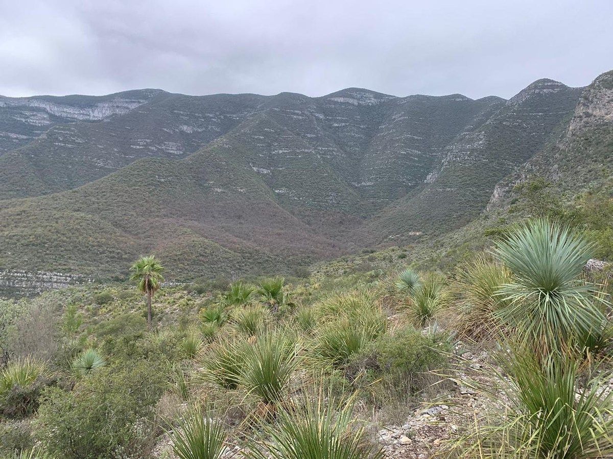 Terreno en Los Terreros, Múzquiz, foto 7 de 20