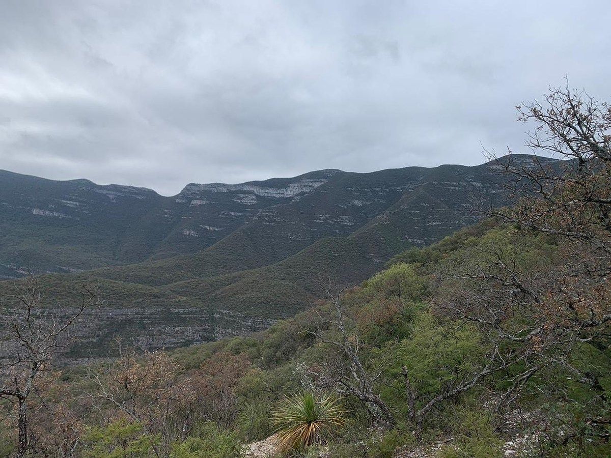 Terreno en Los Terreros, Múzquiz, foto 8 de 20