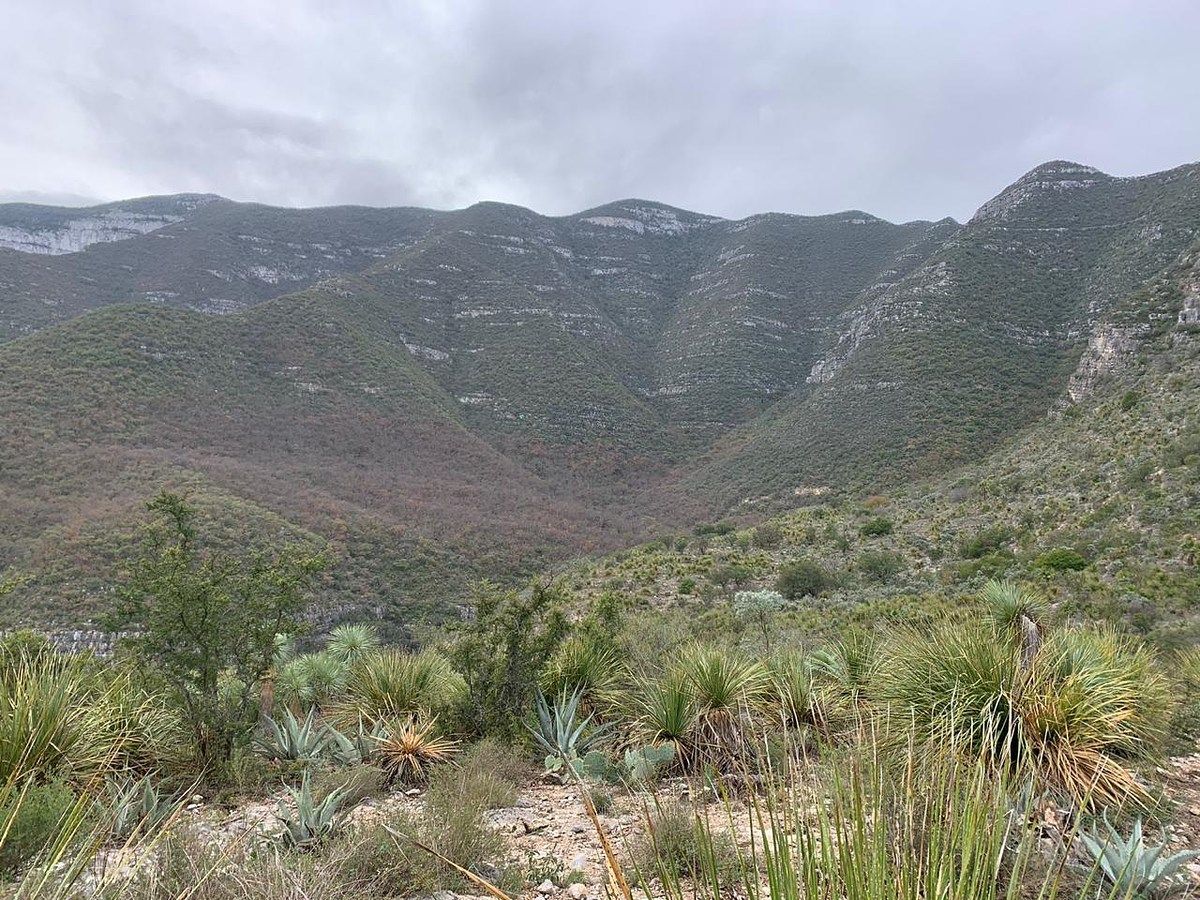 Terreno en Los Terreros, Múzquiz, foto 10 de 20