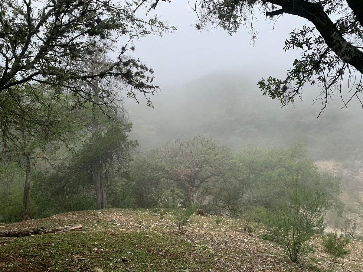 Terreno en Los Terreros, Múzquiz, foto 11 de 20