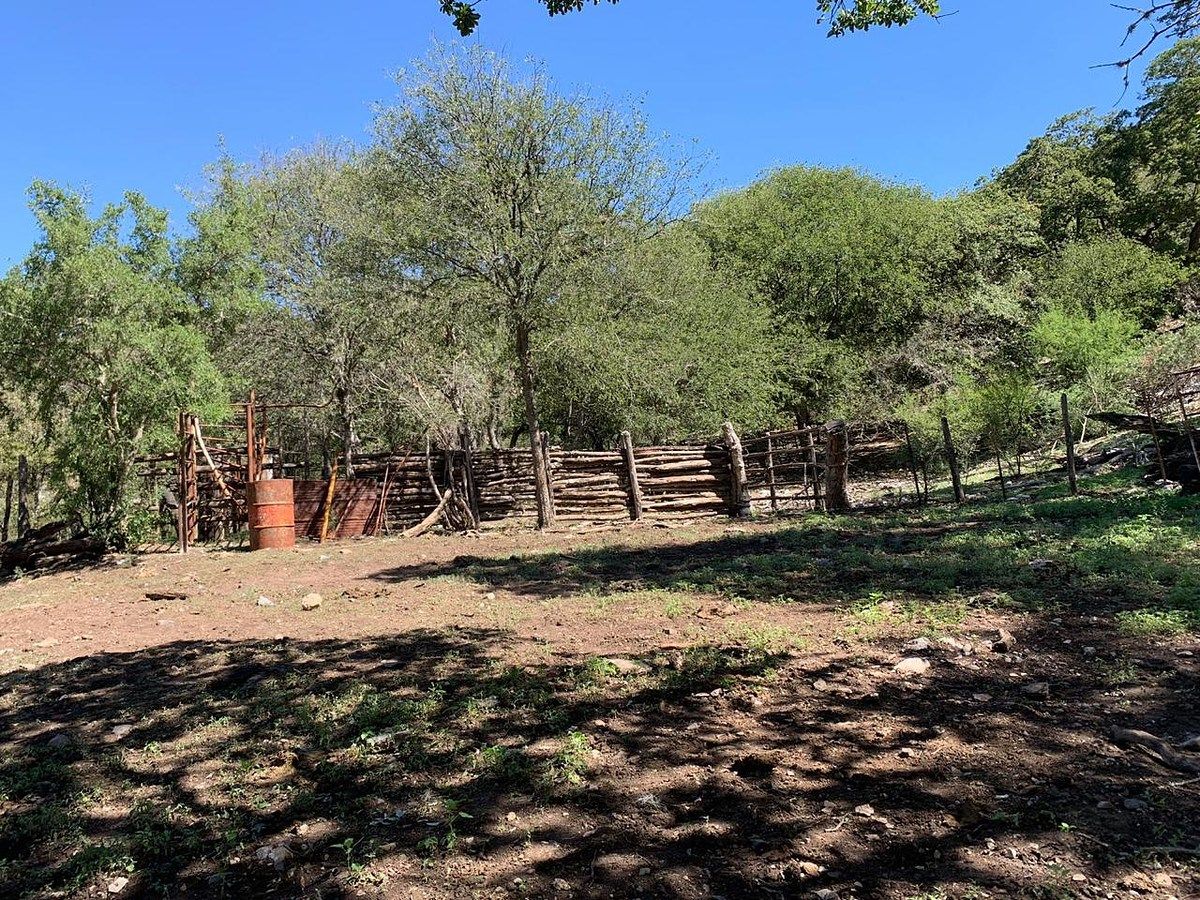 Terreno en Los Terreros, Múzquiz, foto 12 de 20