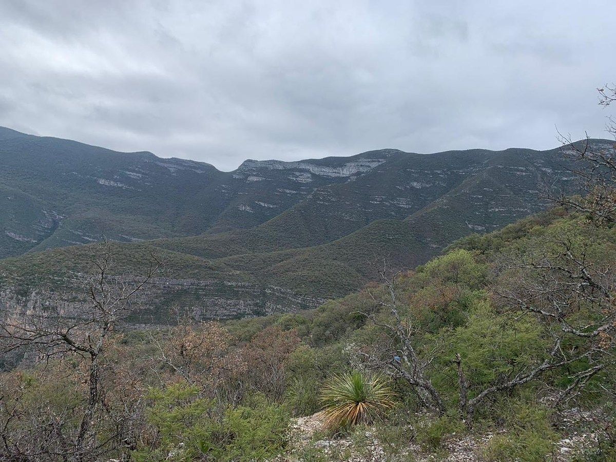 Terreno en Los Terreros, Múzquiz, foto 13 de 20