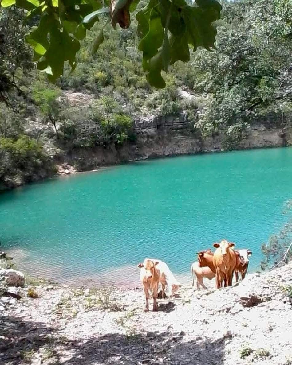 Terreno en Los Terreros, Múzquiz, foto 18 de 20