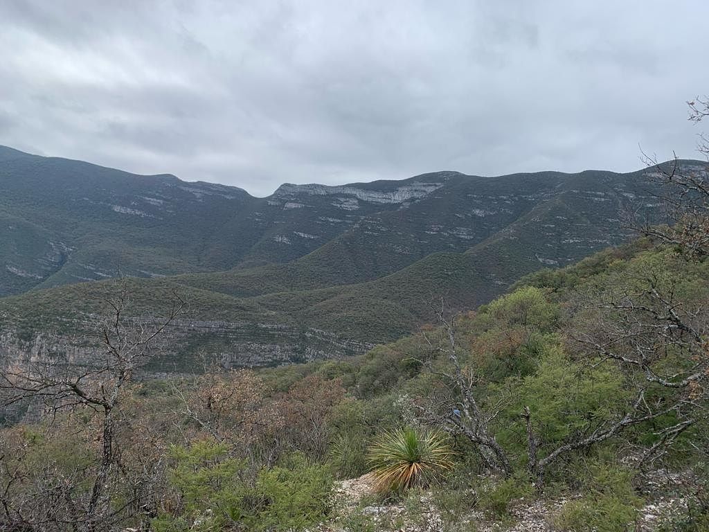 Terreno en Los Terreros, Múzquiz, foto 19 de 20