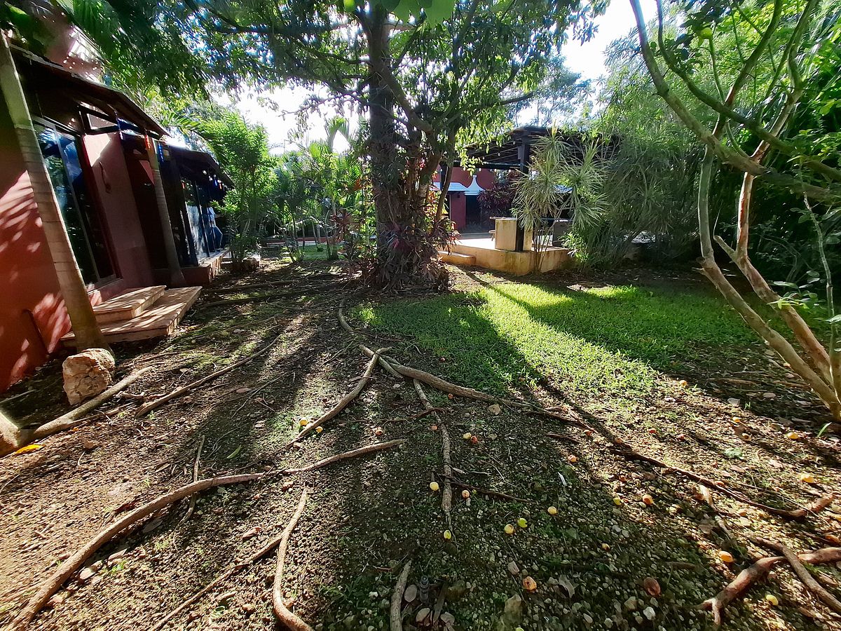 House in Quintas Baspul, Chicxulub Pueblo, photo 38 of 39