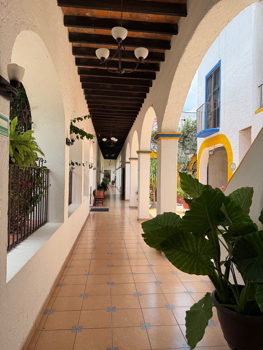 Edifício em Tequisquiapan Centro, Tequisquiapan, foto 8 de 45