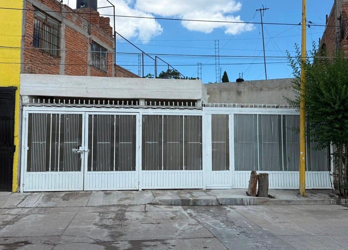 PALOMINO DENA, foto 1 de 18