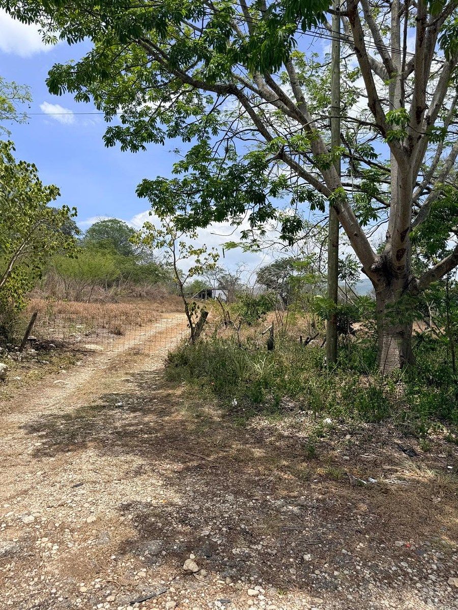 TERRENO EN VENTA TUXTLA-BERRIOZABAL, foto 1 de 8